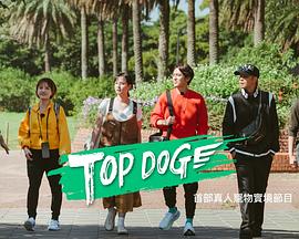 聚色阁《TOP DOG》免费在线观看