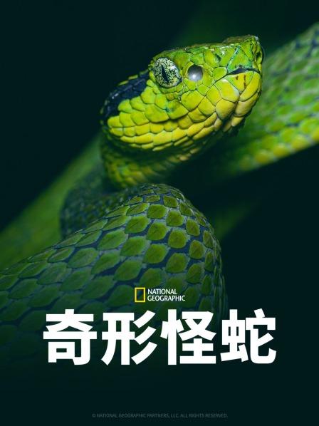 肉食男女《奇形怪蛇》免费在线观看